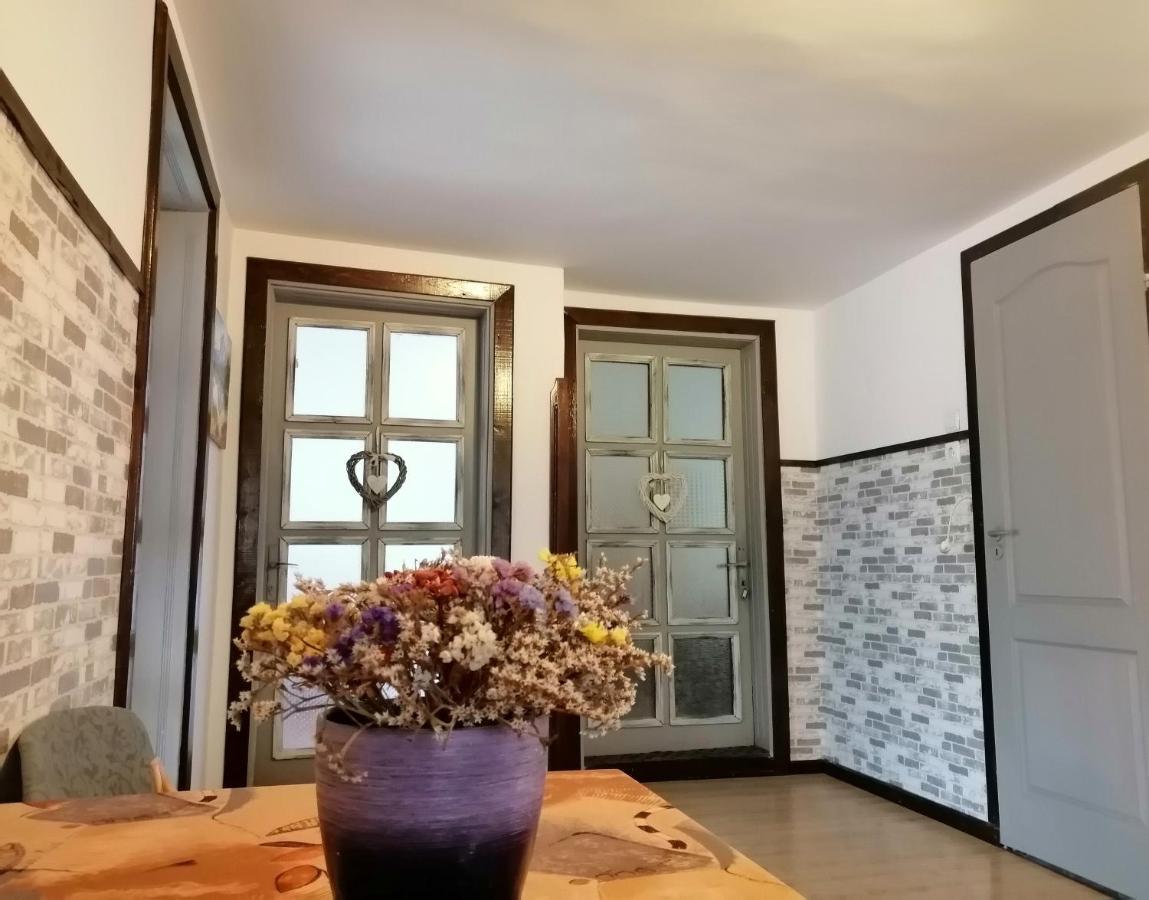 Apartament Sarco Vila Vatra Dornei Exterior foto